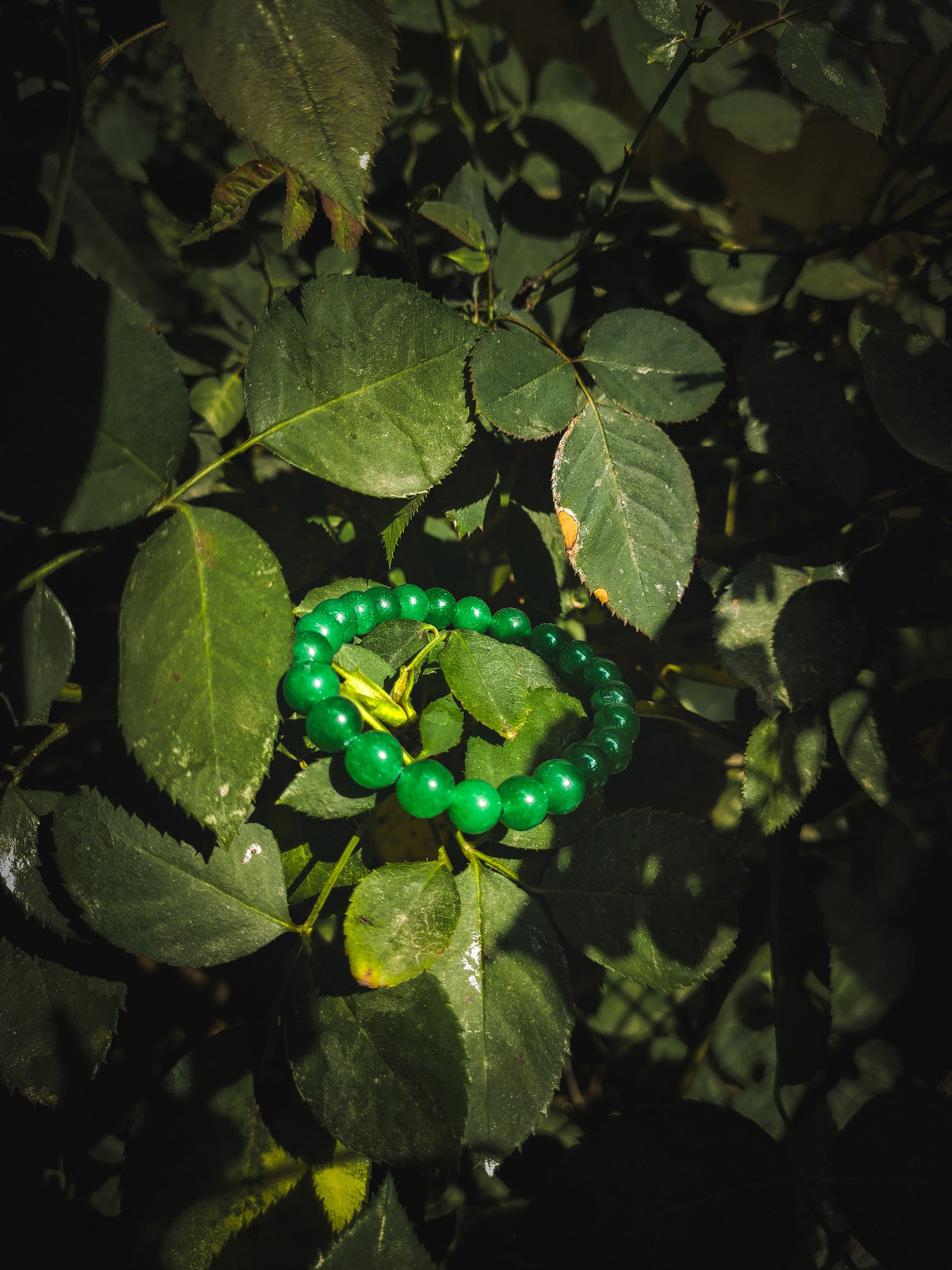 Green Aventurine Prosperity Bracelet